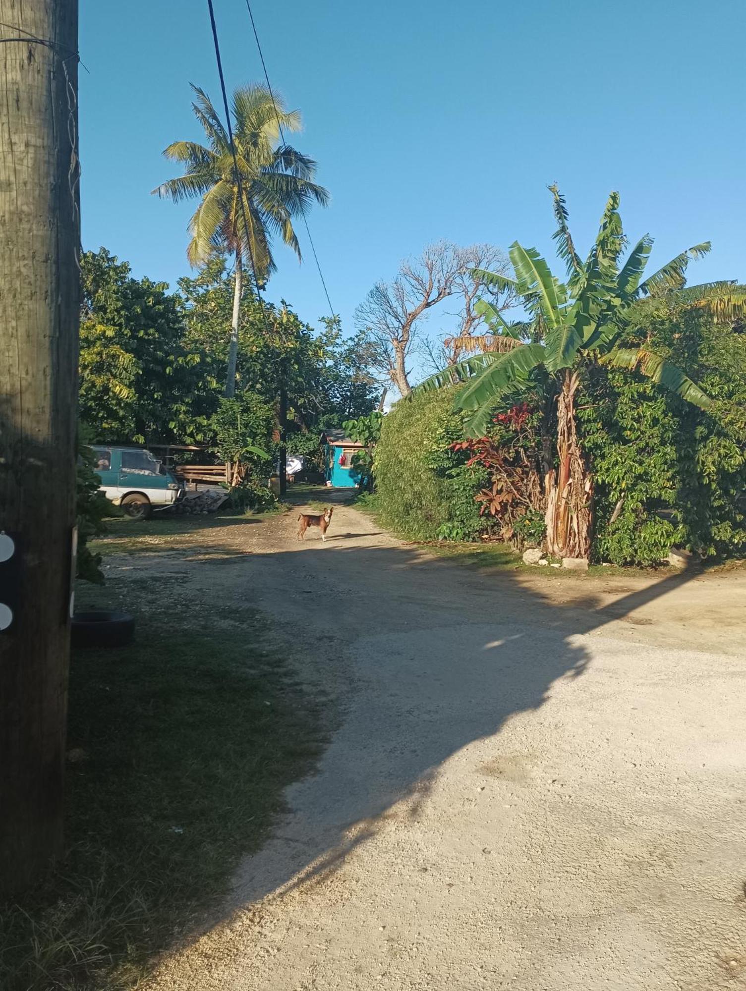 Kapeta Cabin Nuku'alofa Bagian luar foto